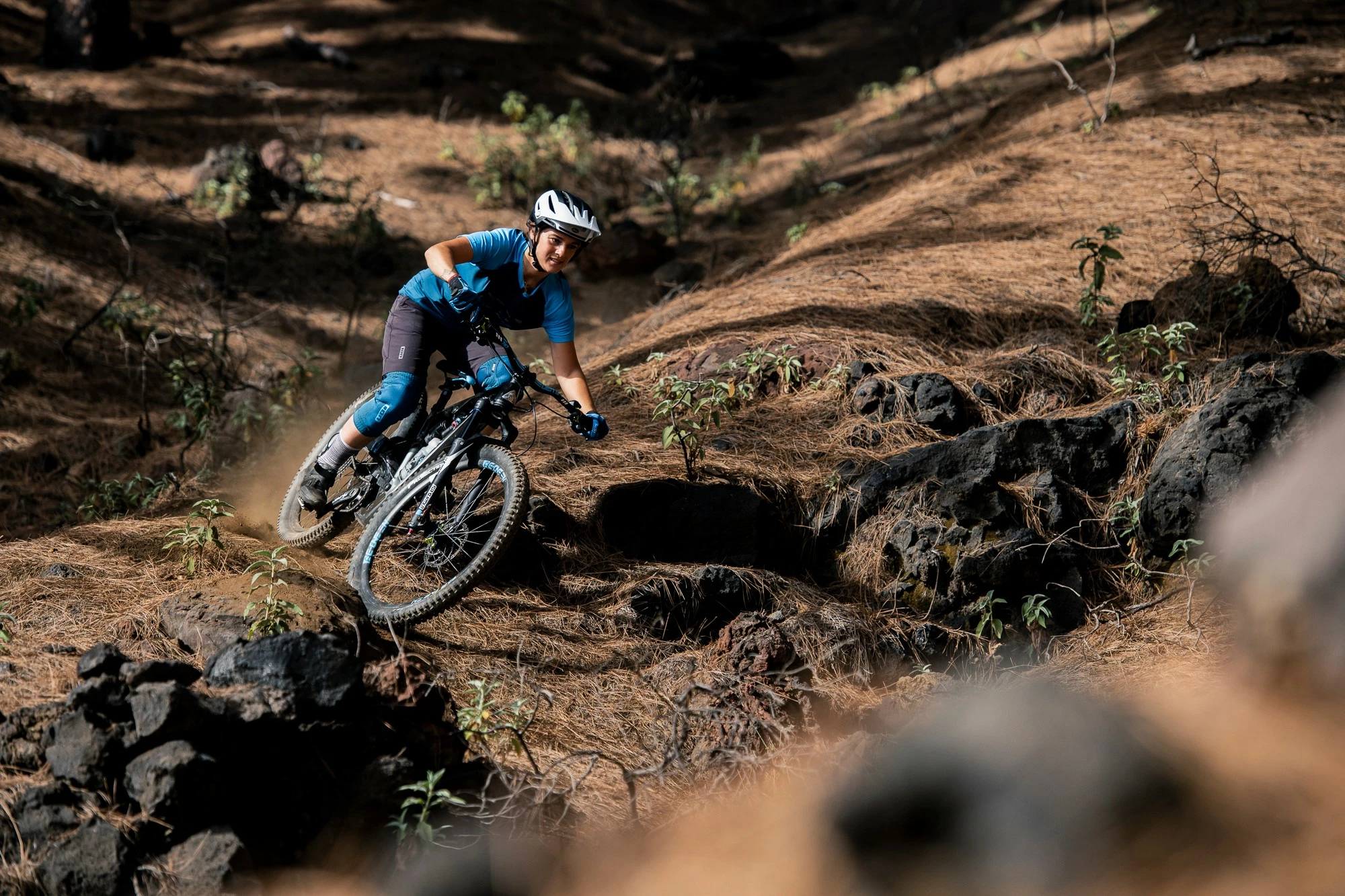 Hjuldele Butik 12 Hjuldele Butik -Hjuldele Butik 117131817 3417492928281716 6560356477068097883 n