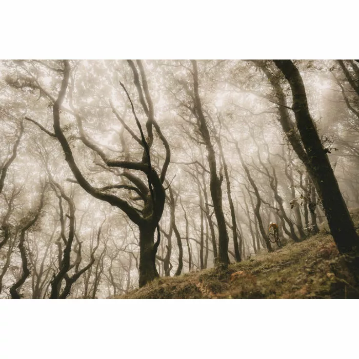 Goodyear Newton Enduro Tubeless Rear MTB Tyre Black 2.4" 29 7 Goodyear Newton Enduro Tubeless Rear MTB Tyre Black 2.4" 29 - Billede 7