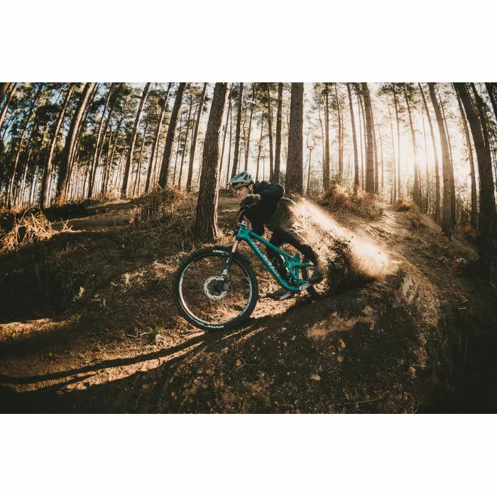 Goodyear Newton Enduro Tubeless Rear MTB Tyre Black 2.4" 29 8 Goodyear Newton Enduro Tubeless Rear MTB Tyre Black 2.4" 29 - Billede 8