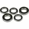 Hope Pro 2 Evo Bearing Kit