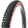 Panaracer Fire XC ASB Tyre